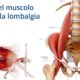 Il ruolo del muscolo Psoas nella lombalgia riabilitazione campania