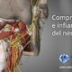 compressione e infiammazione del nervo vago napoli riabilitazione campania